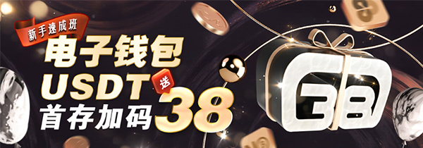 新手速成班 电子钱包/USDT首存加码送38|全-新